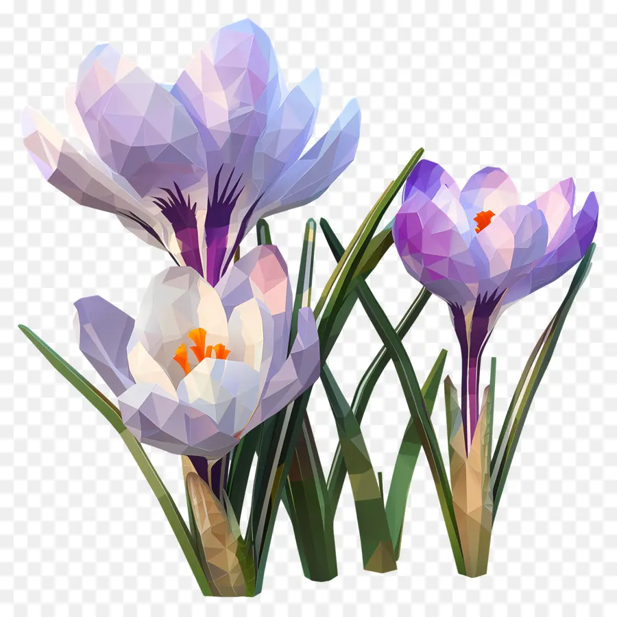 Digital Flor，Açafrões Roxos PNG