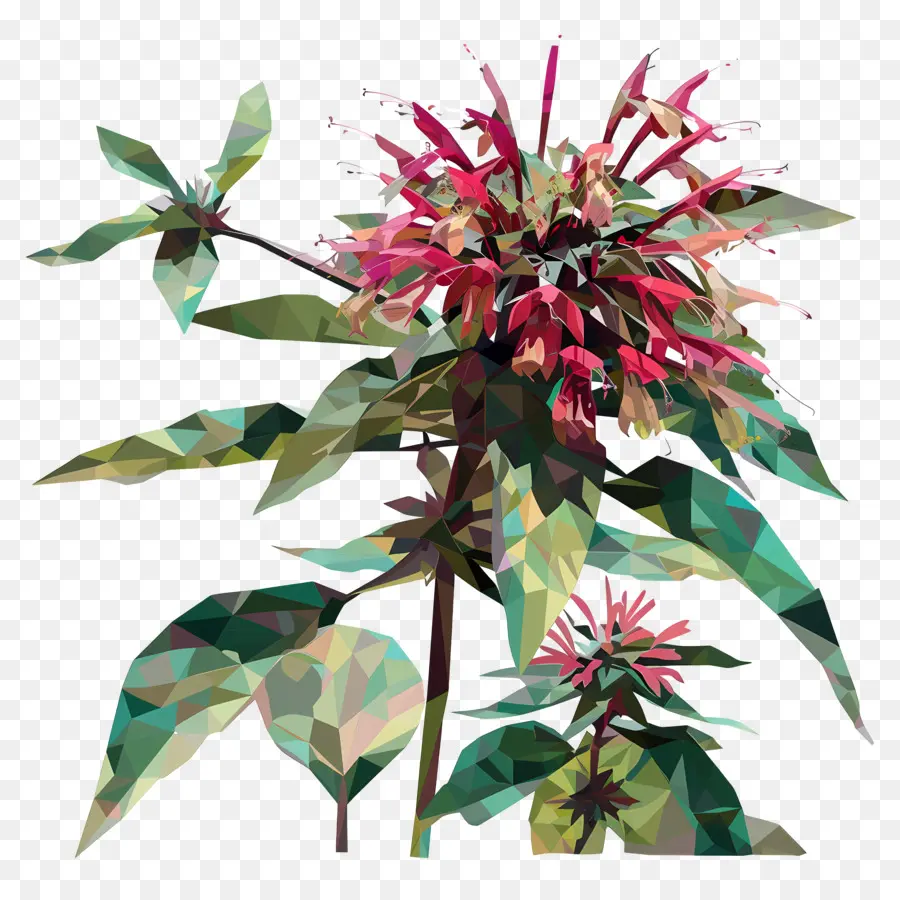 Digital Flor，Flor Vermelha PNG