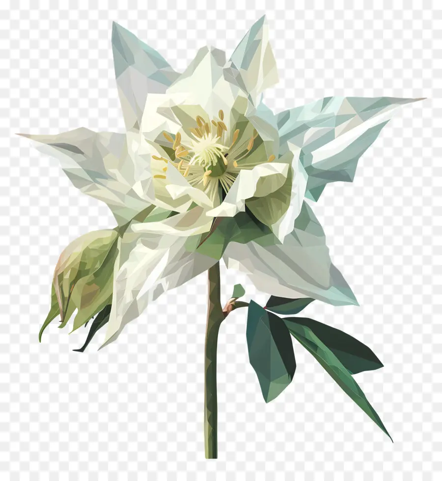 Digital Flor，Lírio Branco PNG