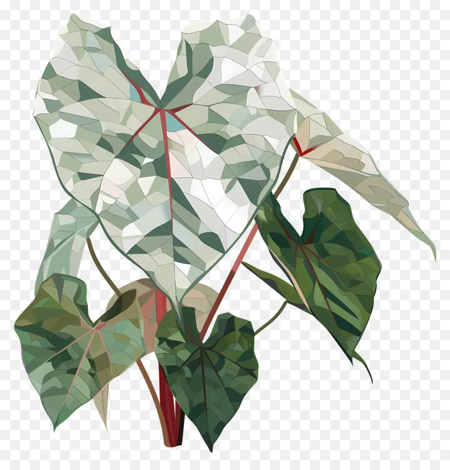 Digital Flor，Planta PNG