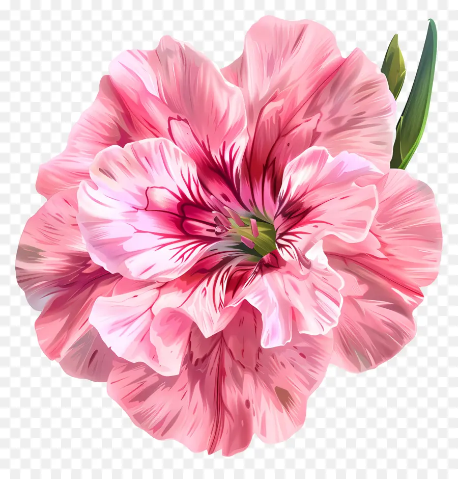 Arte Digital Com Flores，Flor única PNG