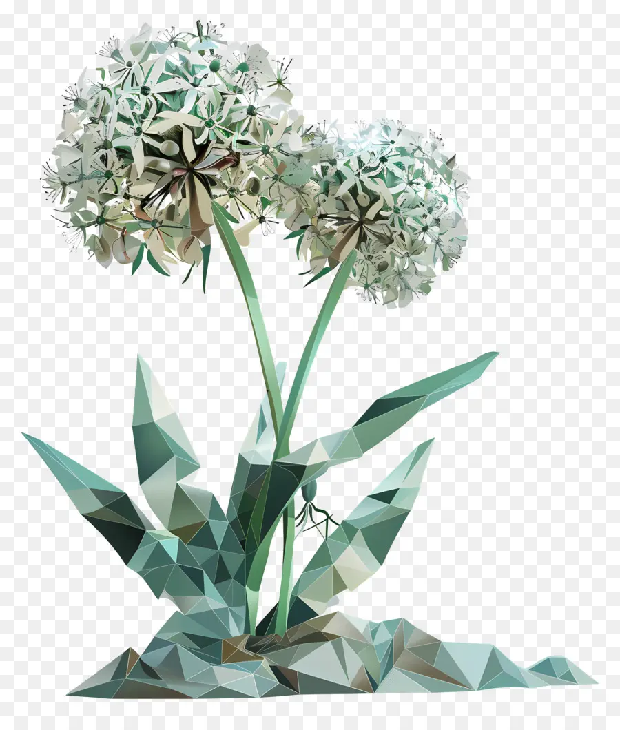 Digital Flor，Alho PNG