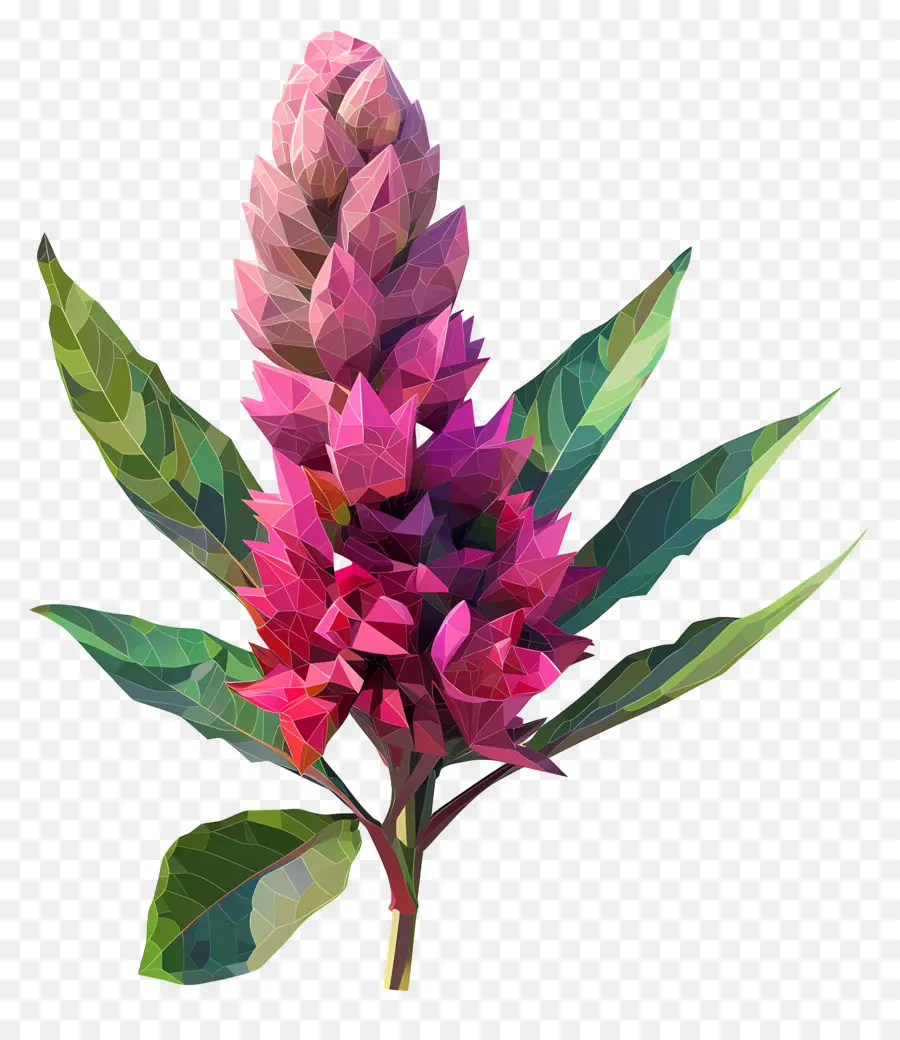 Flor Digital，Flor PNG