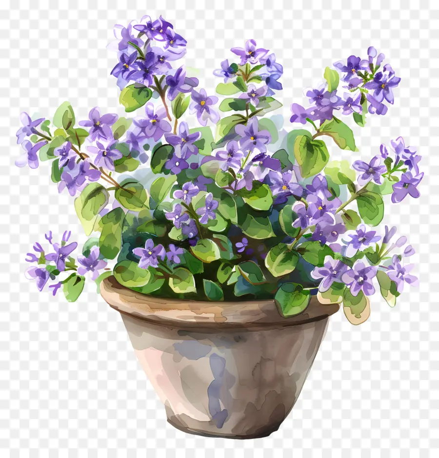 Flores Lilás，Vasos De Flores PNG