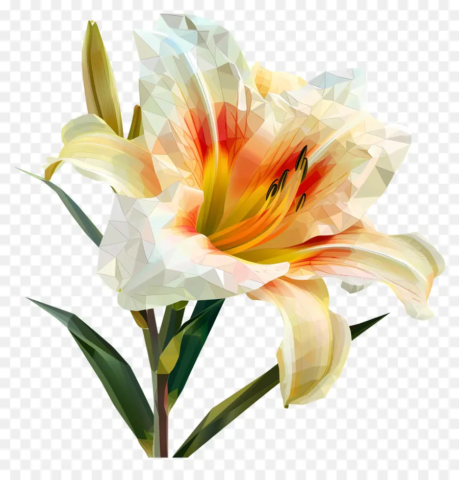 Digital Flor，Lírio Branco PNG
