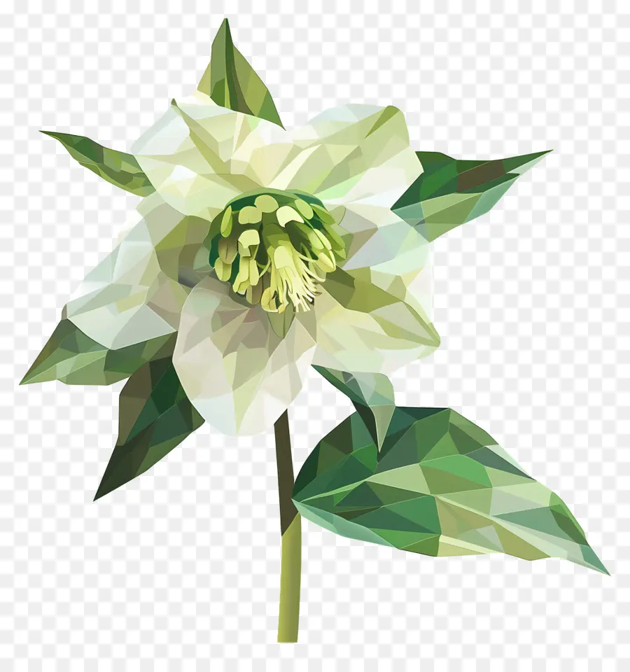 Digital Flor，Flor Branca PNG