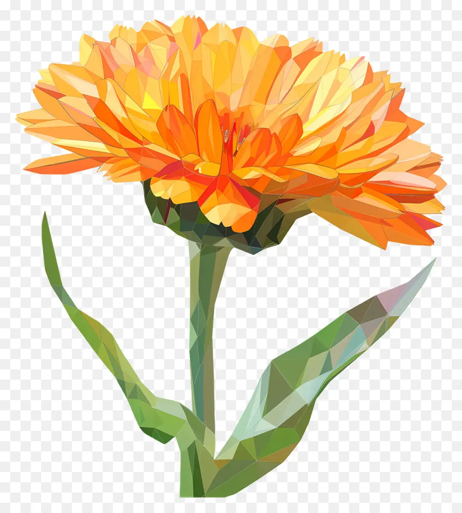 Digital Flor，Flor Da Laranja PNG