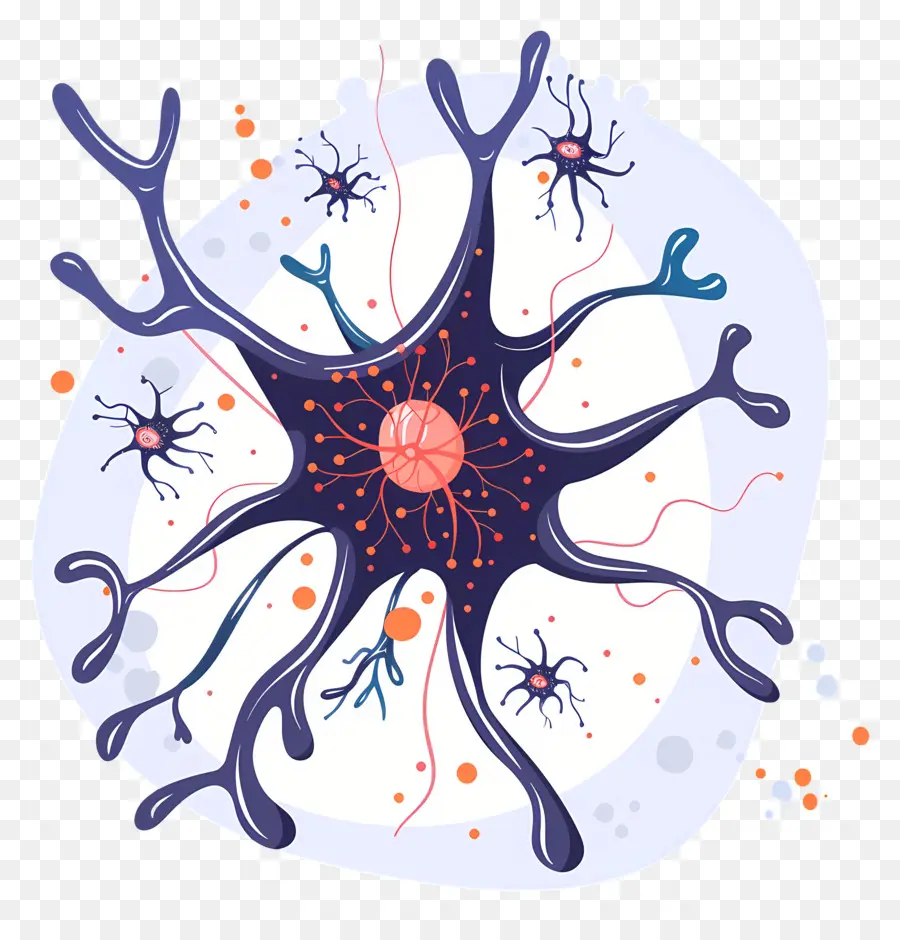 Neurônios，Neuroglia PNG