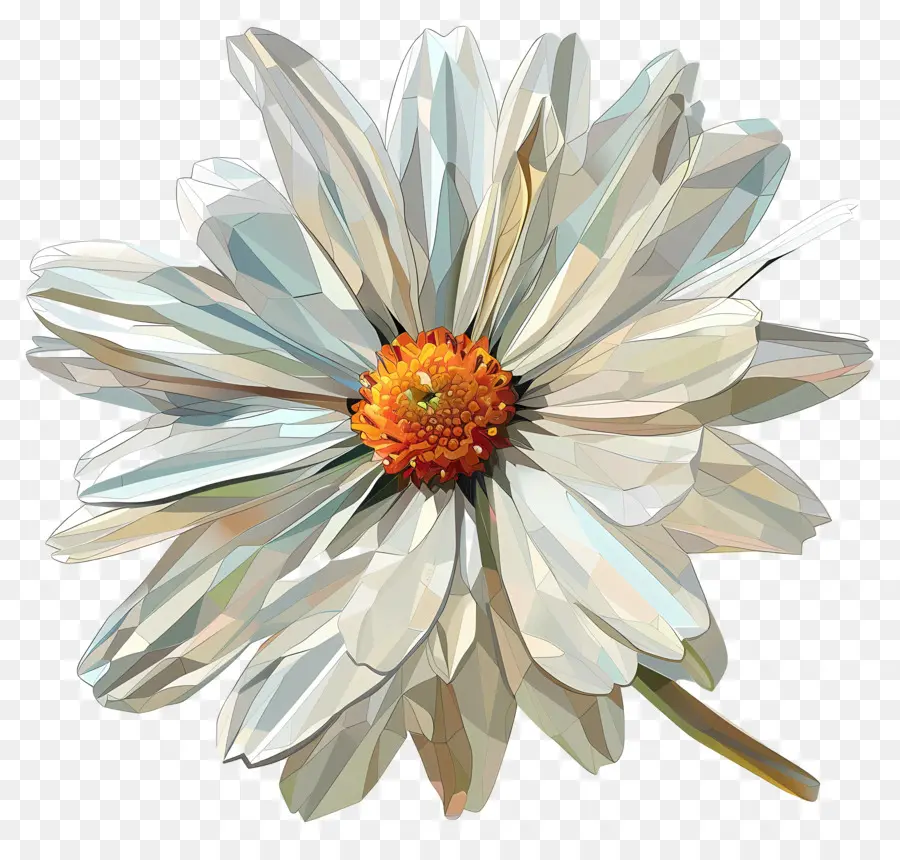 Arte Digital Com Flores，Flor Branca PNG