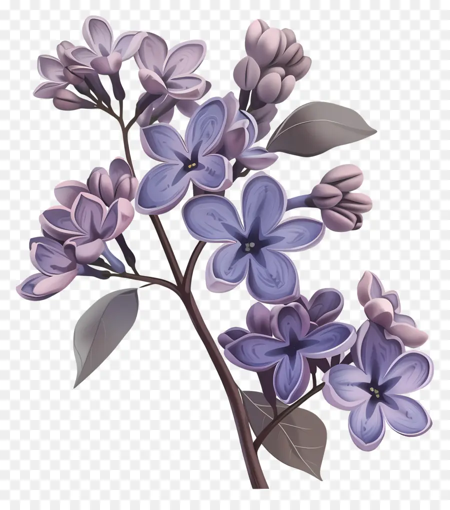 Flores Lilás，Flores Roxas PNG