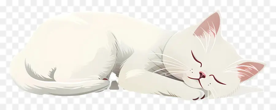 Gato Dormindo，Gato Branco PNG