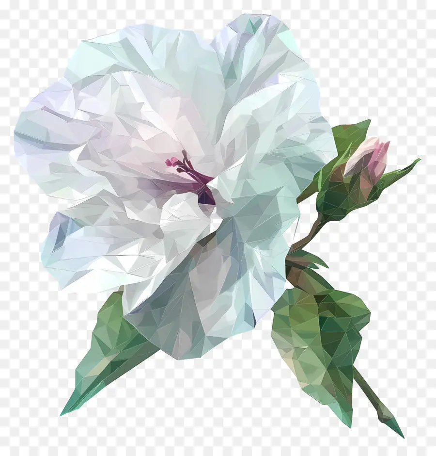 Arte De Flores Digital，Branca De Hibisco PNG