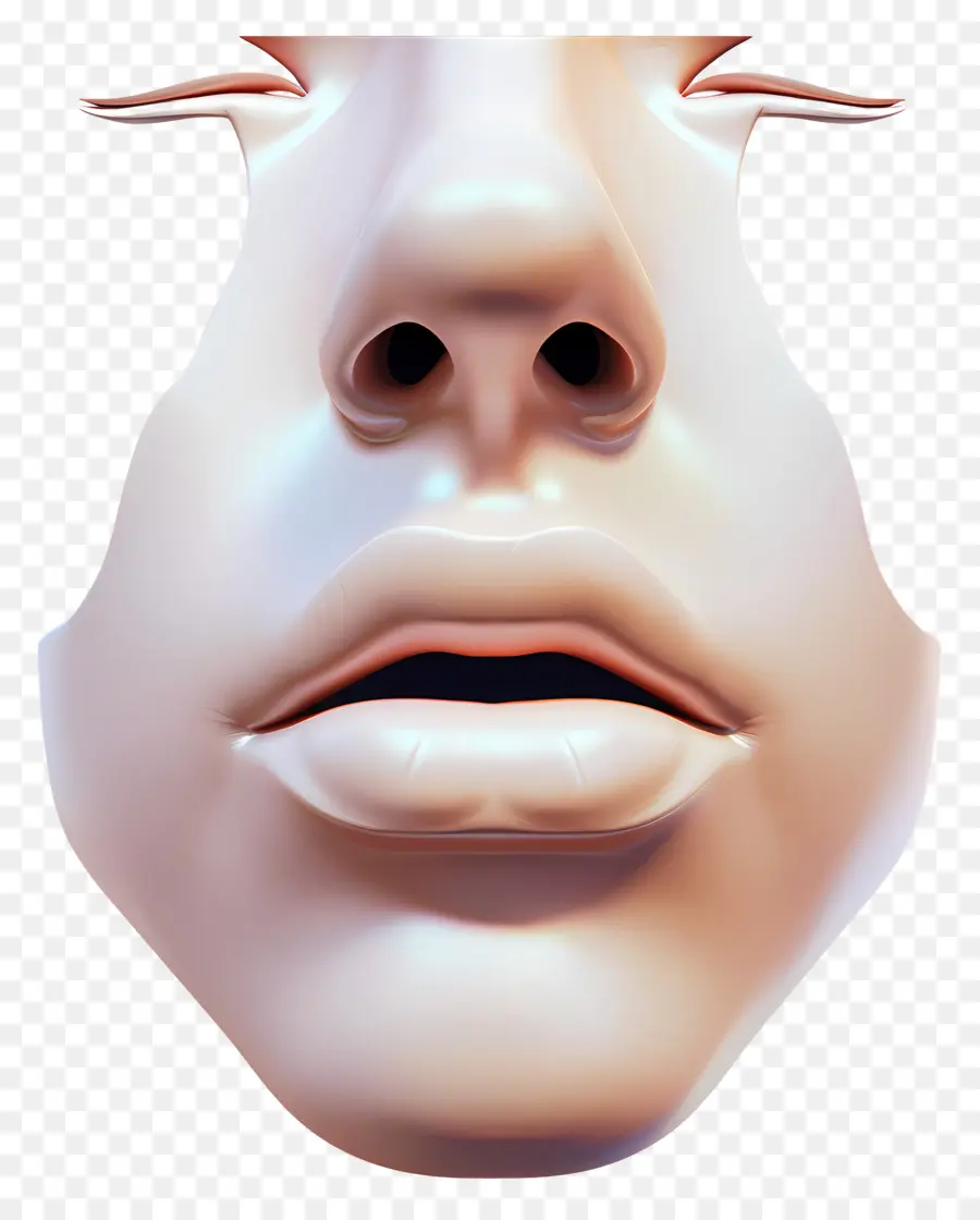 Clipart De Nariz，Face PNG