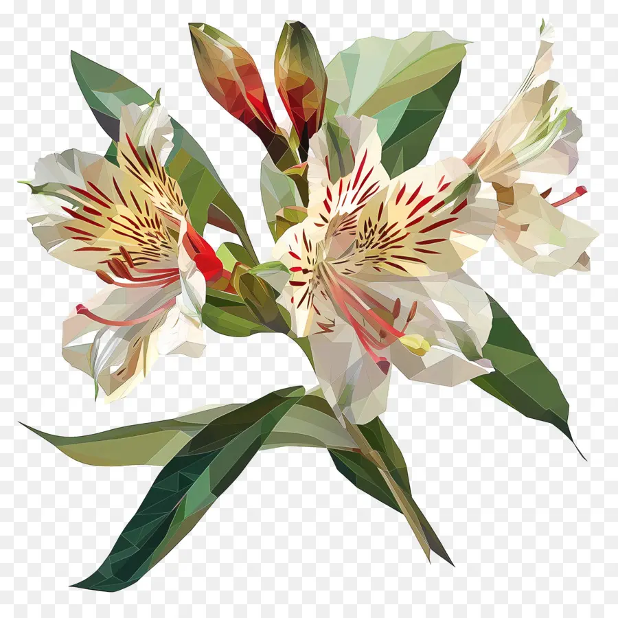 Arte Digital，Flores PNG