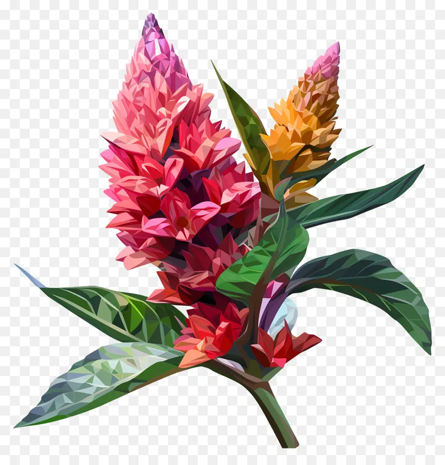 Digital Flor，Flores Coloridas PNG
