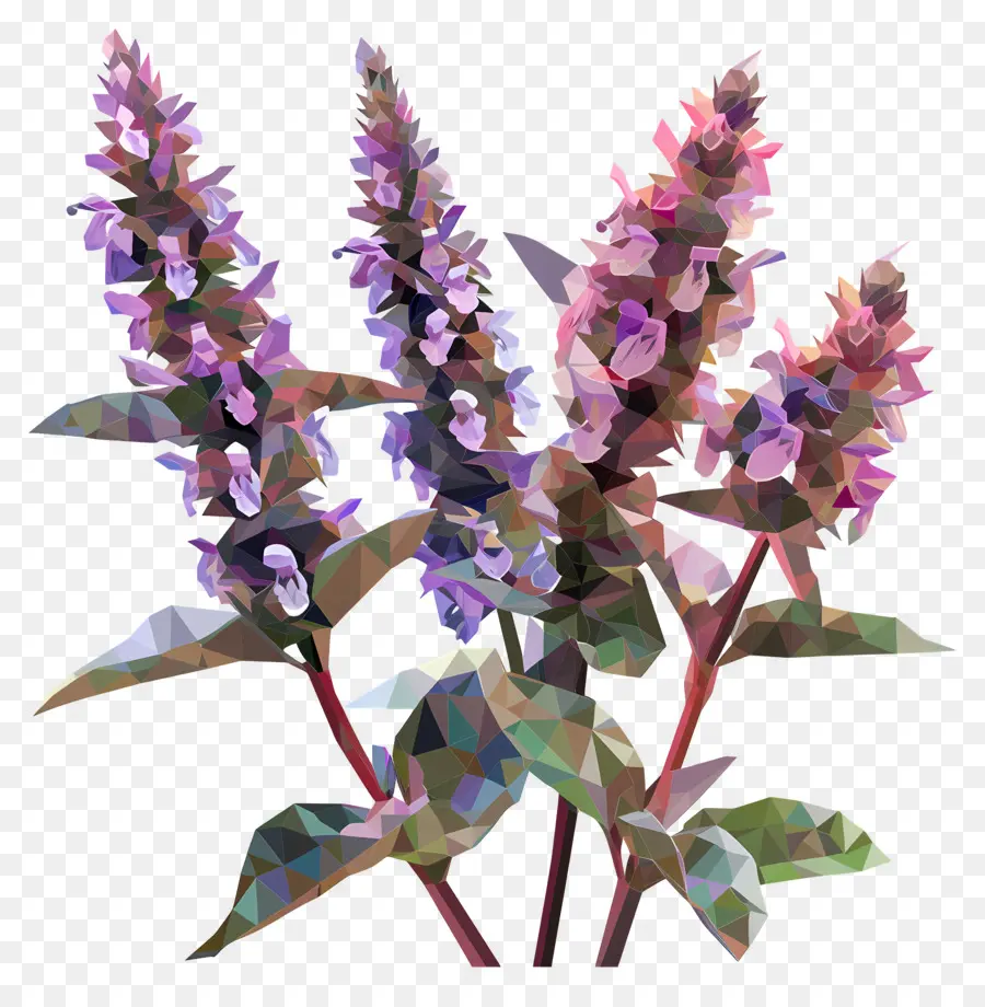 Digital Flor，Plantas De Sálvia PNG