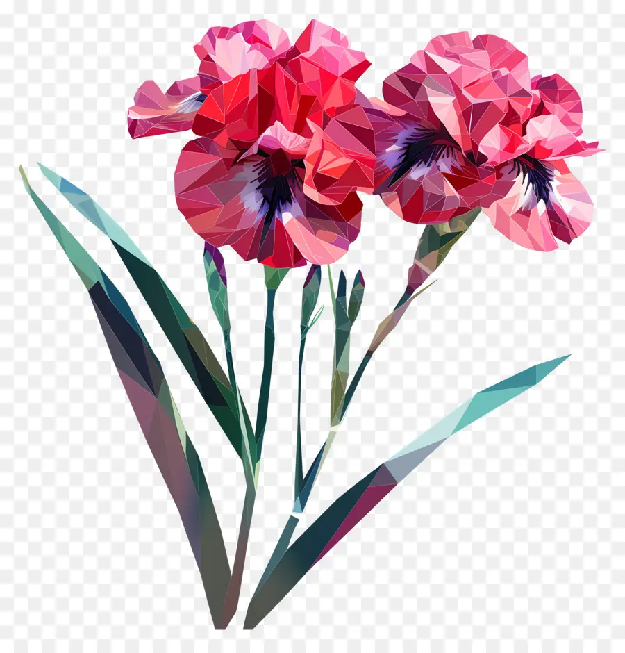Digital Flor，íris Rosa PNG