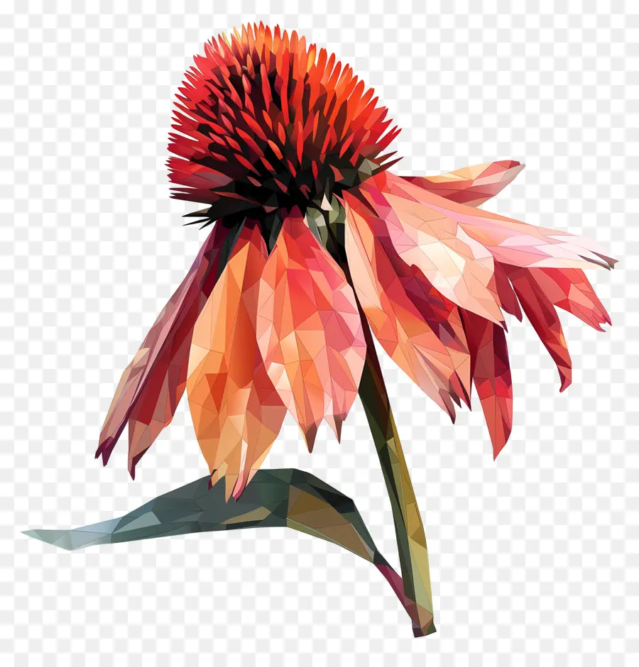Digital Flor，Flor Do Cone PNG