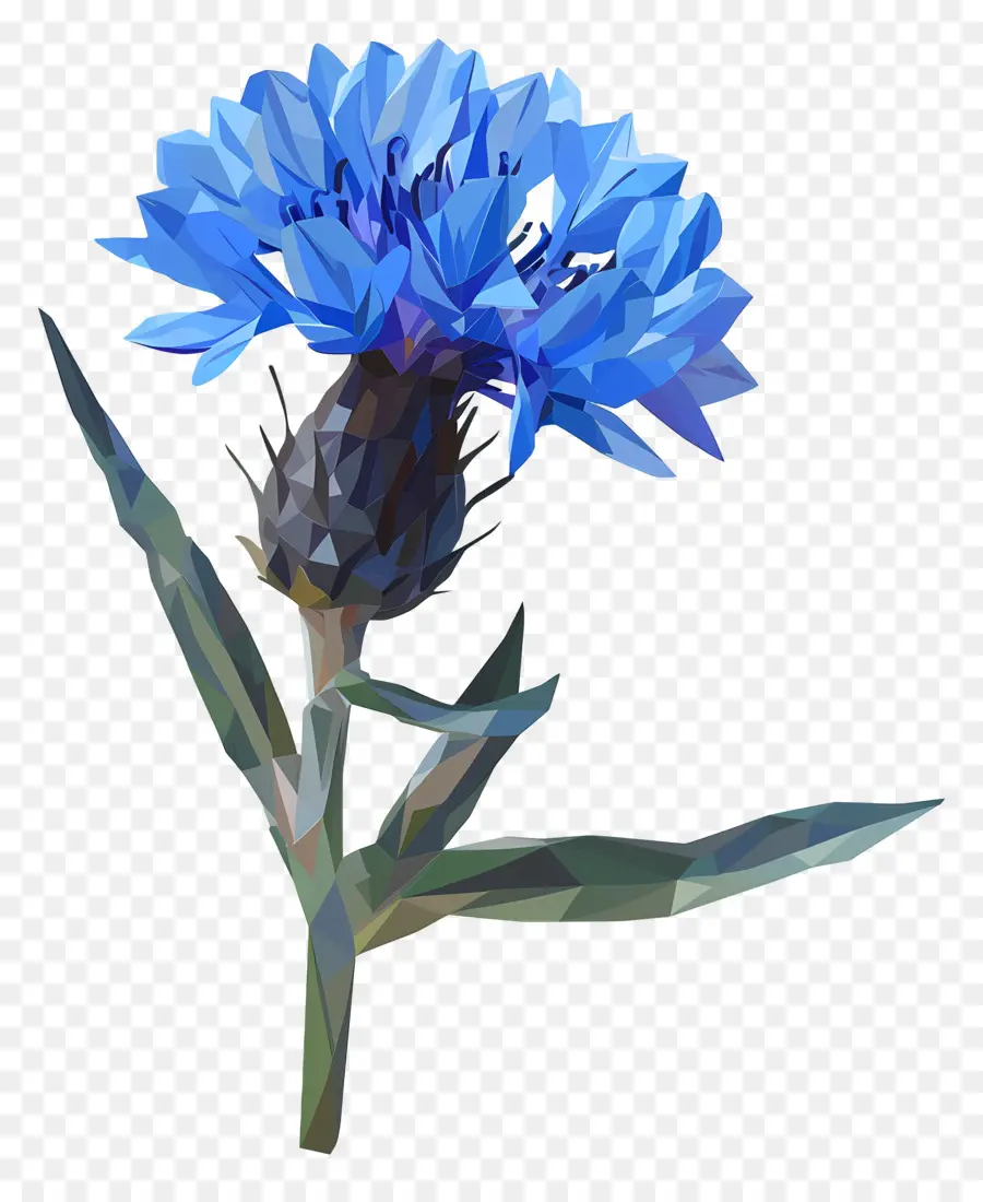 Arte Digital，Flor Azul PNG