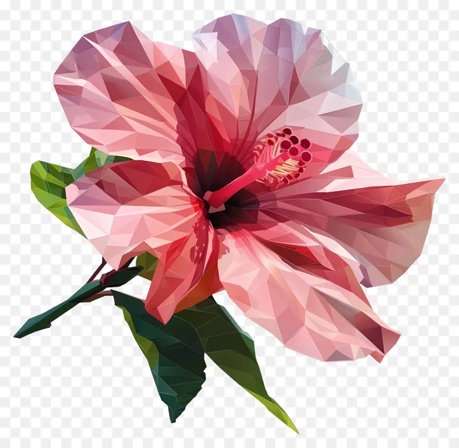 Arte De Flores Digital，Cor De Rosa Hibisco PNG