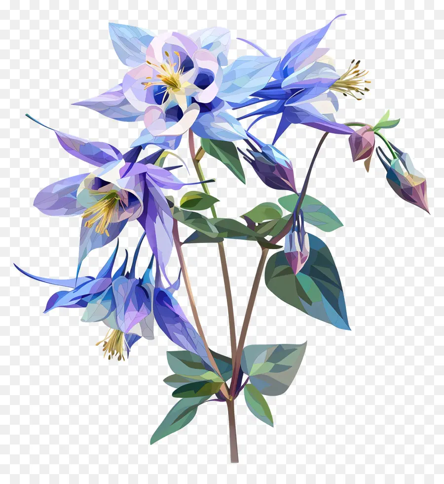 Digital Flor，Flores Azuis De Columbina PNG