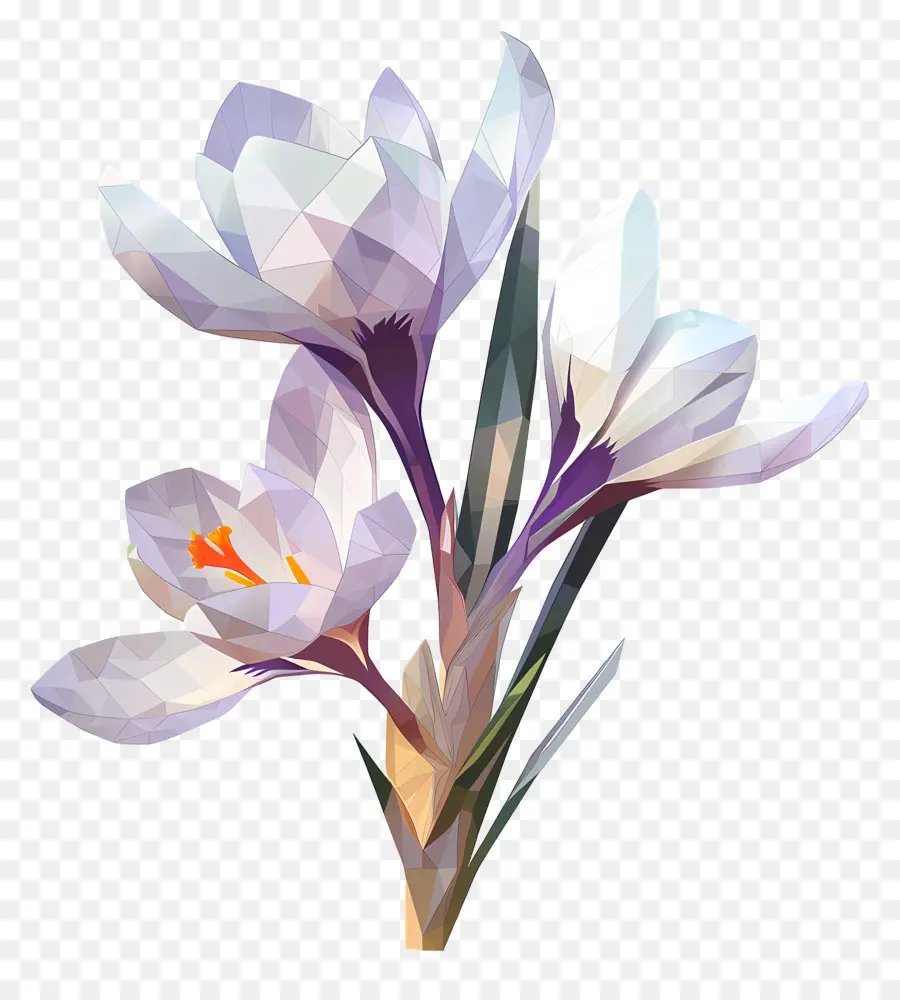 Digital Flor，Low Poly PNG