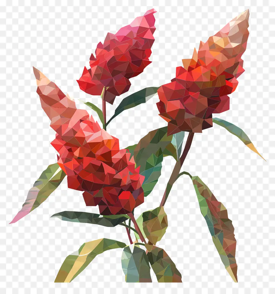 Digital Flor，Scaevola Aemula PNG