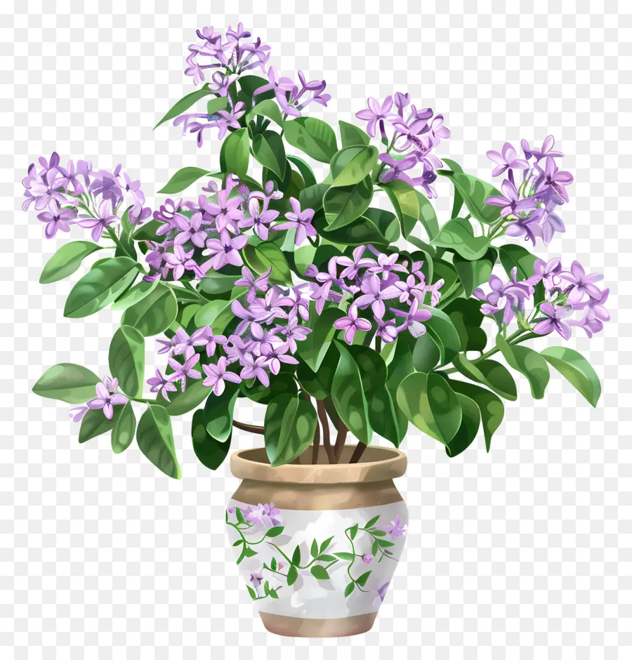 Flores Lilás，Vasos De Flores PNG