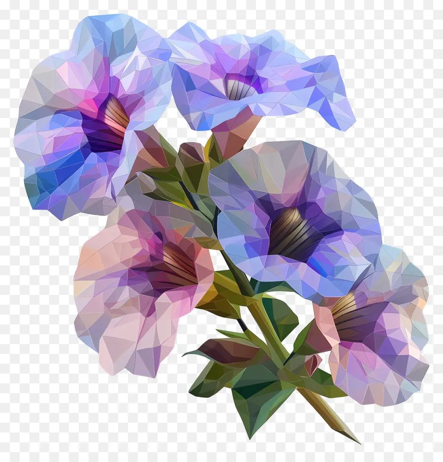 Digital Flor，Gladiolus PNG