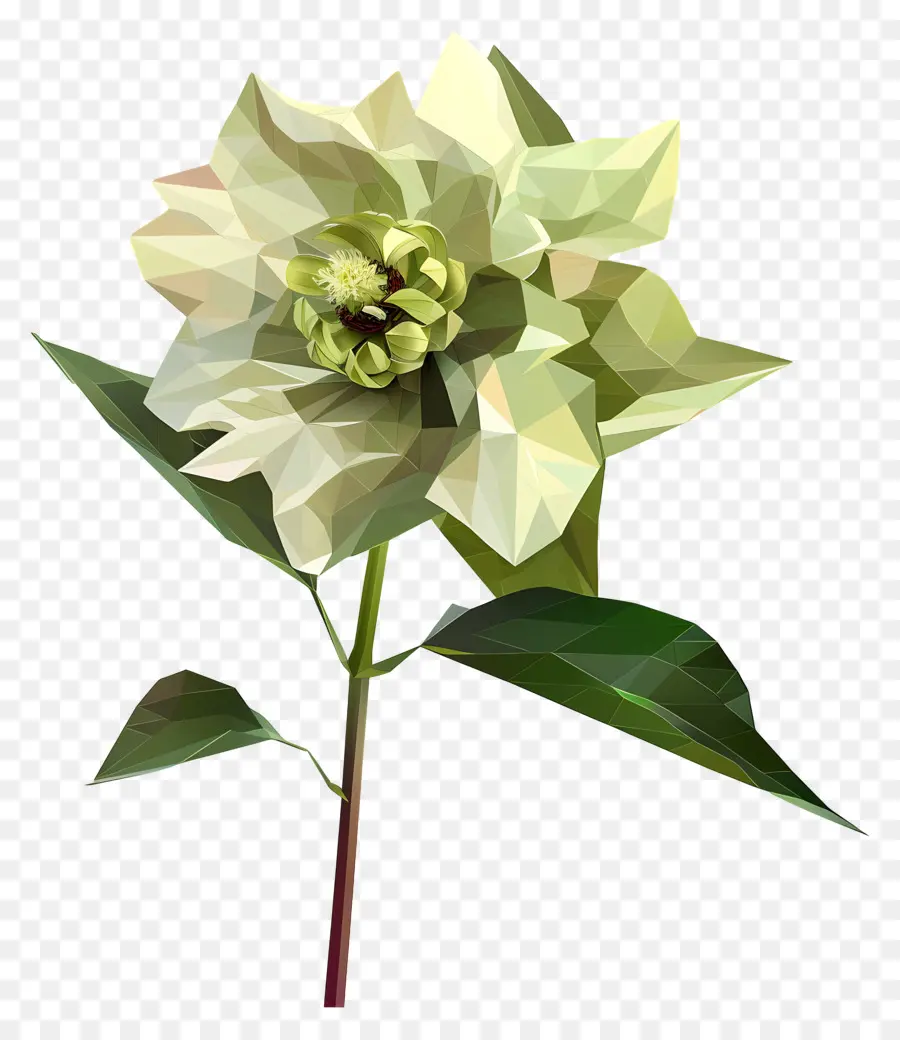 Digital Flor，Branco De Camélia PNG