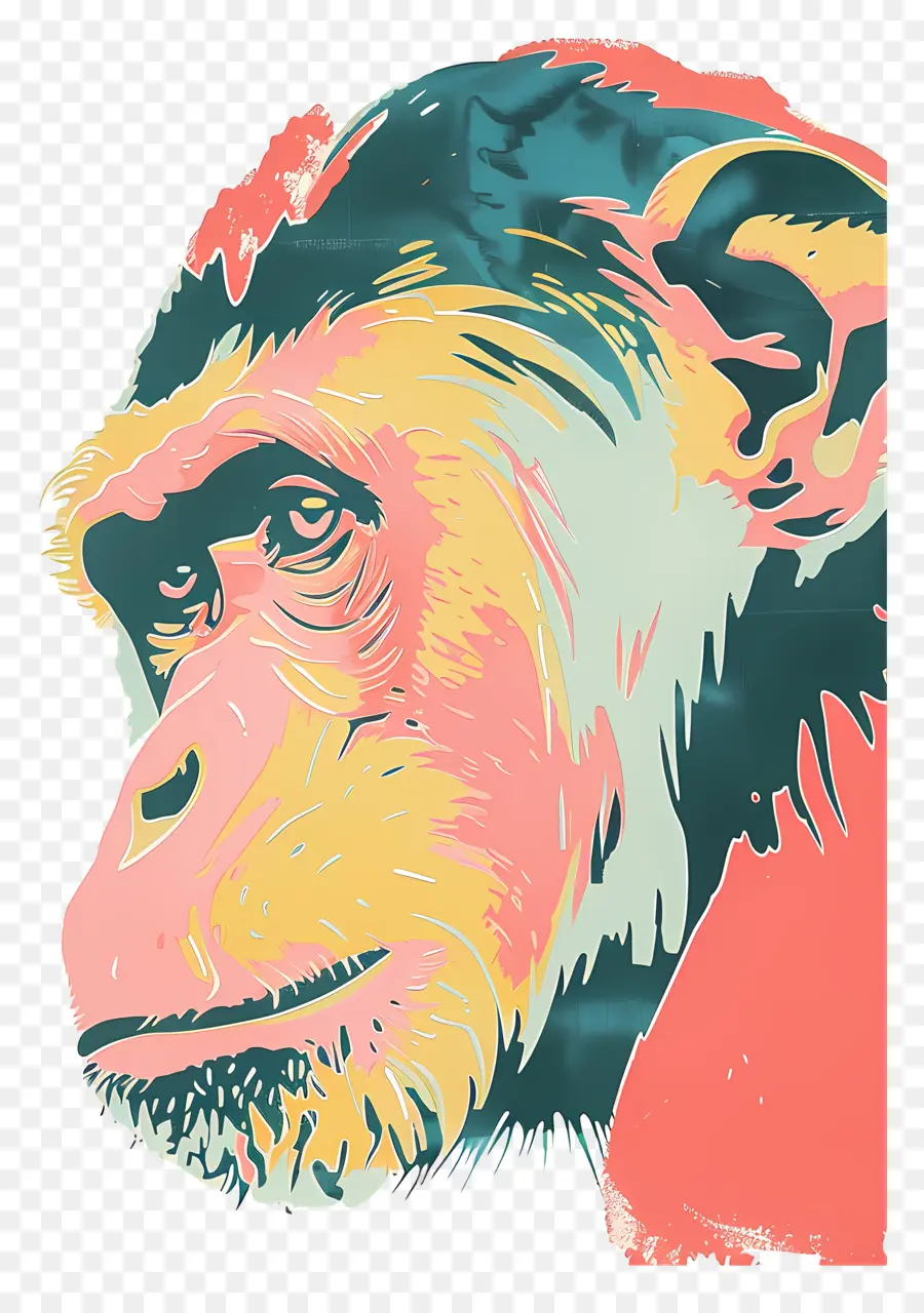 Macaco，Vermelho E Azul PNG