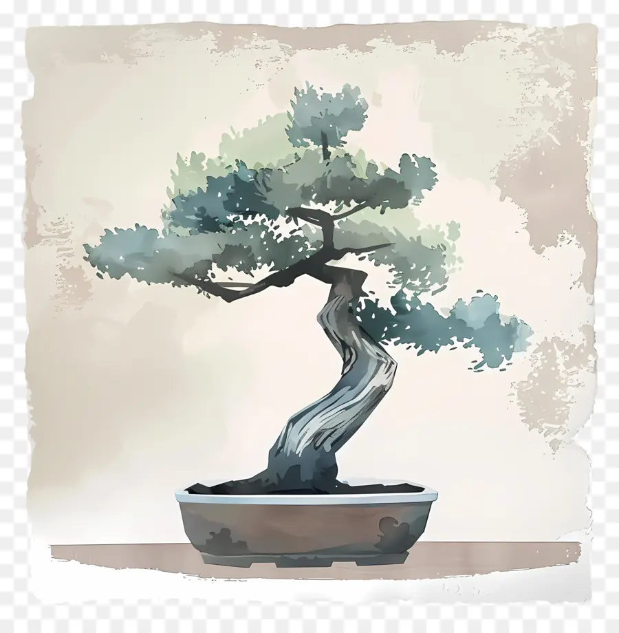 Árvore Bonsai，Vaso PNG