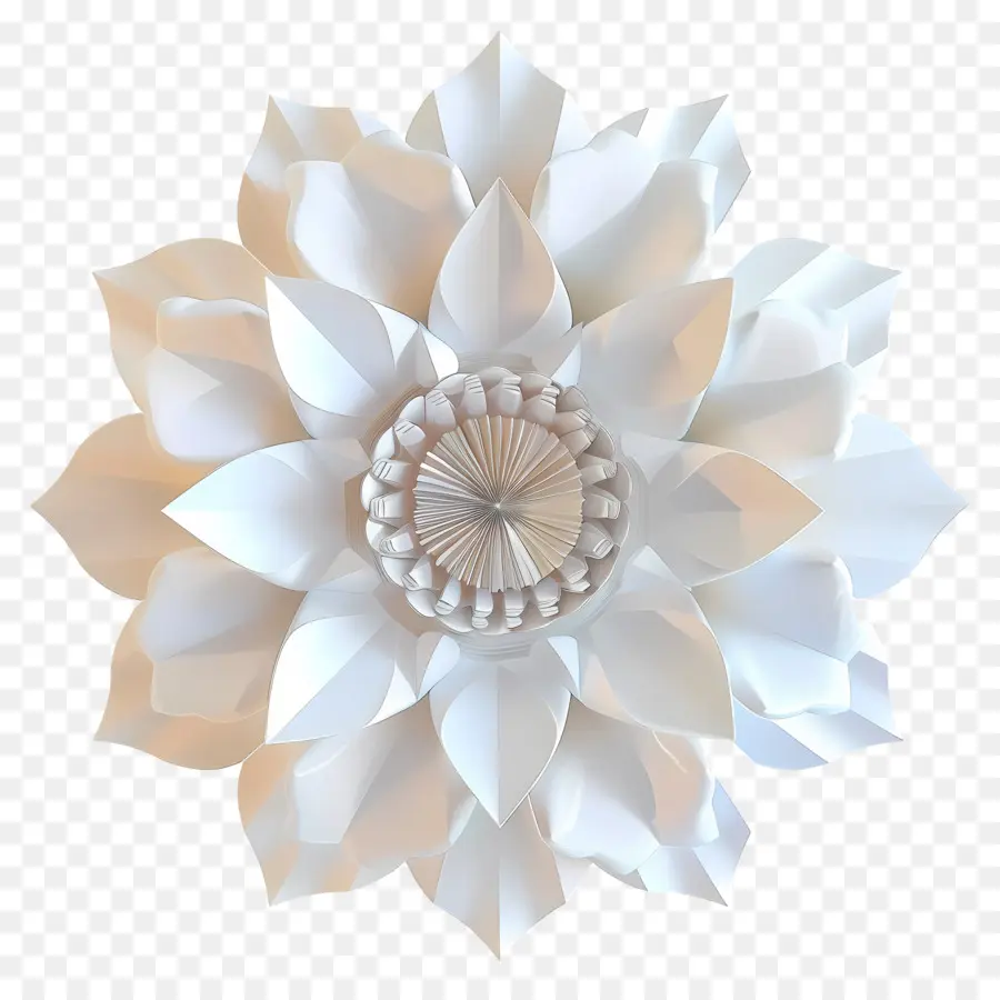 Digital Flor，Flor De Papel PNG