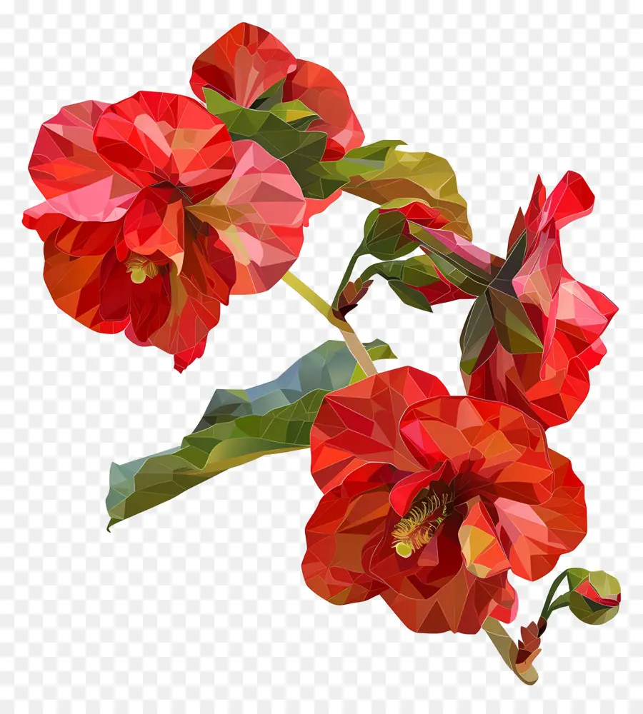 Digital Flor，Flores De Hibisco Vermelho PNG