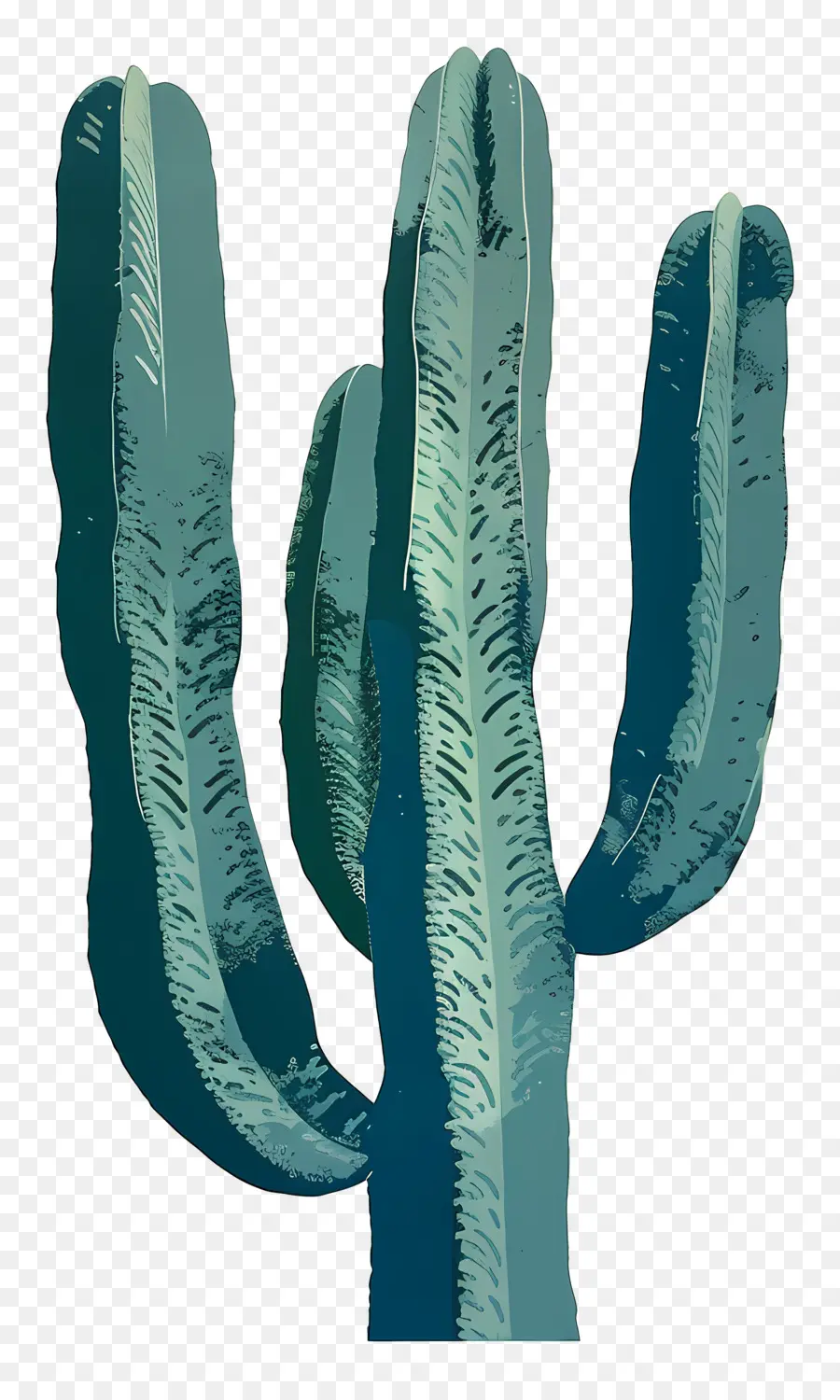 Cactus，Planta Do Cacto PNG
