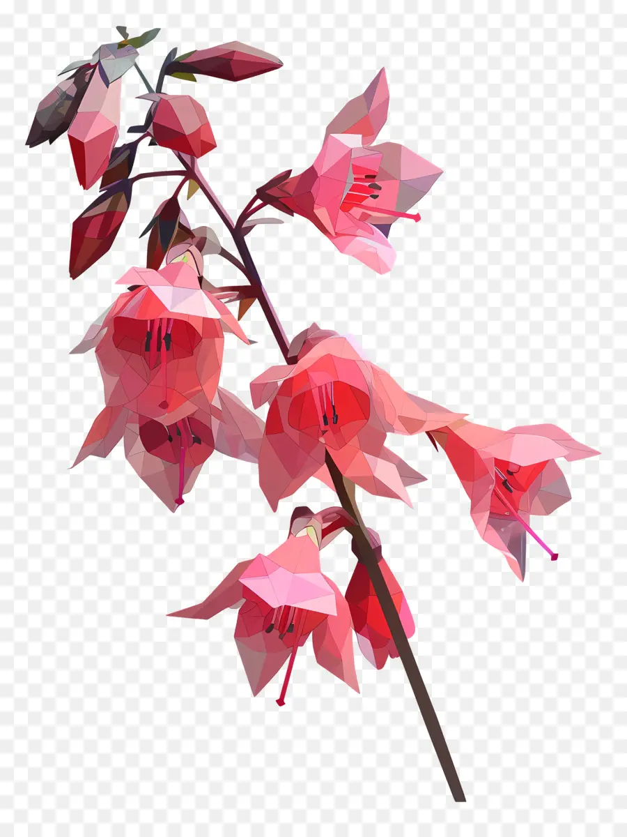 Digital Flor，Flores Cor De Rosa PNG