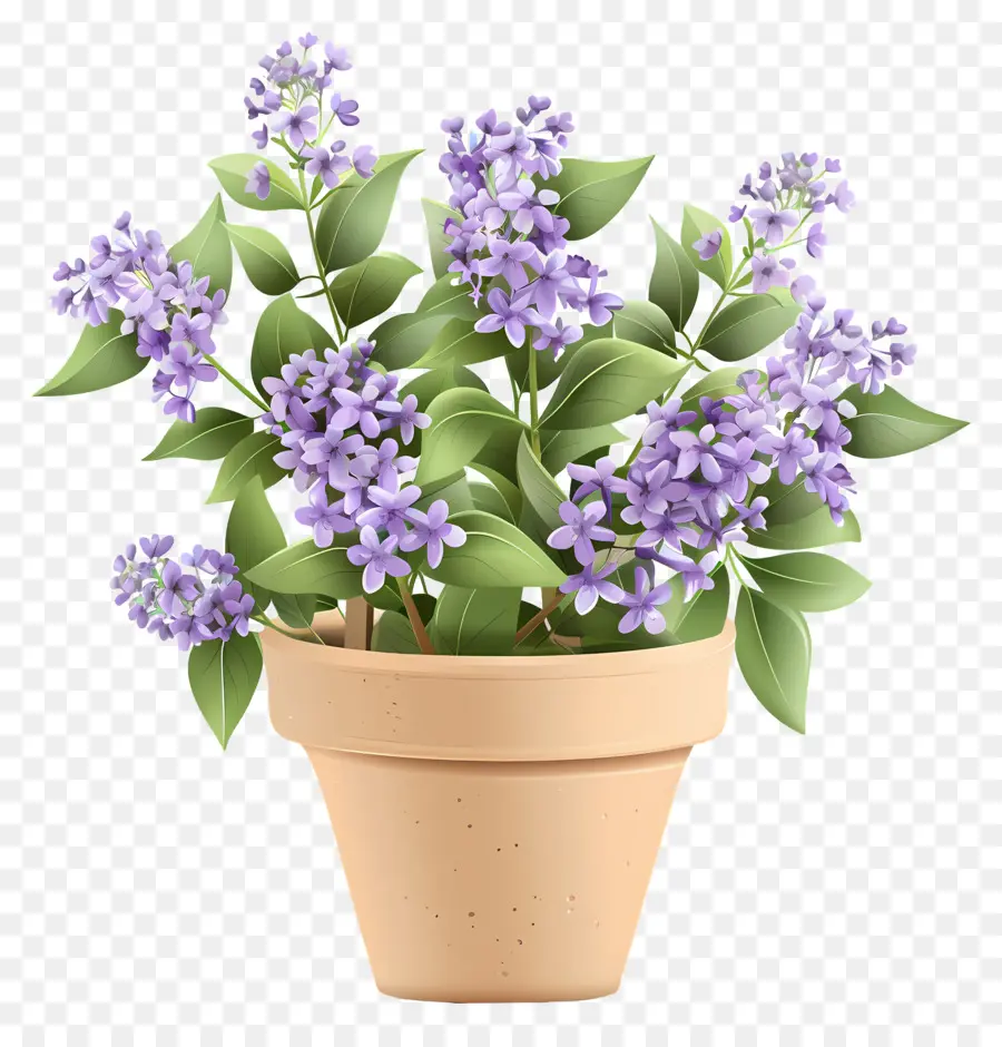 Flores Lilás，Vasos De Flores PNG