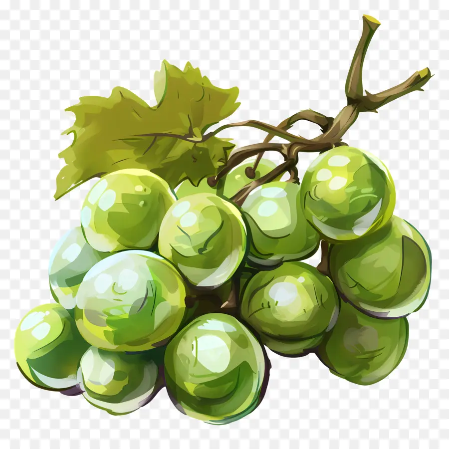 Verde Uvas，Suculento PNG