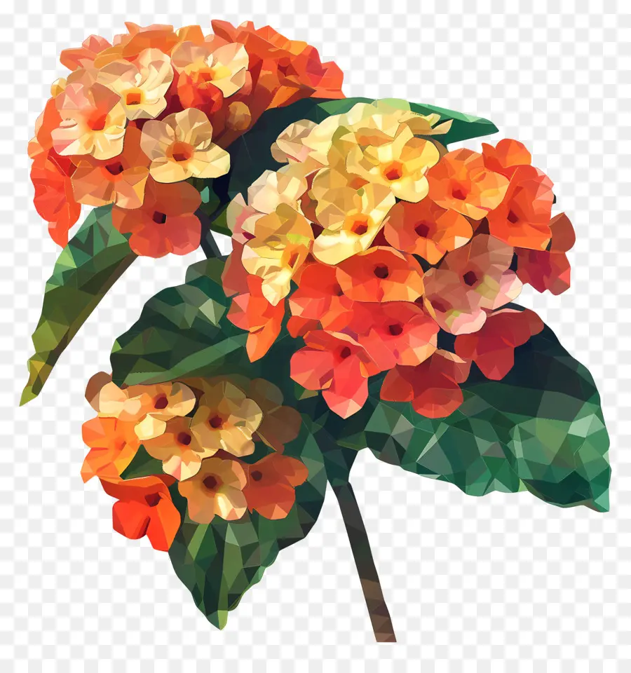 Arte De Flores Digital，Flores De Hibisco PNG
