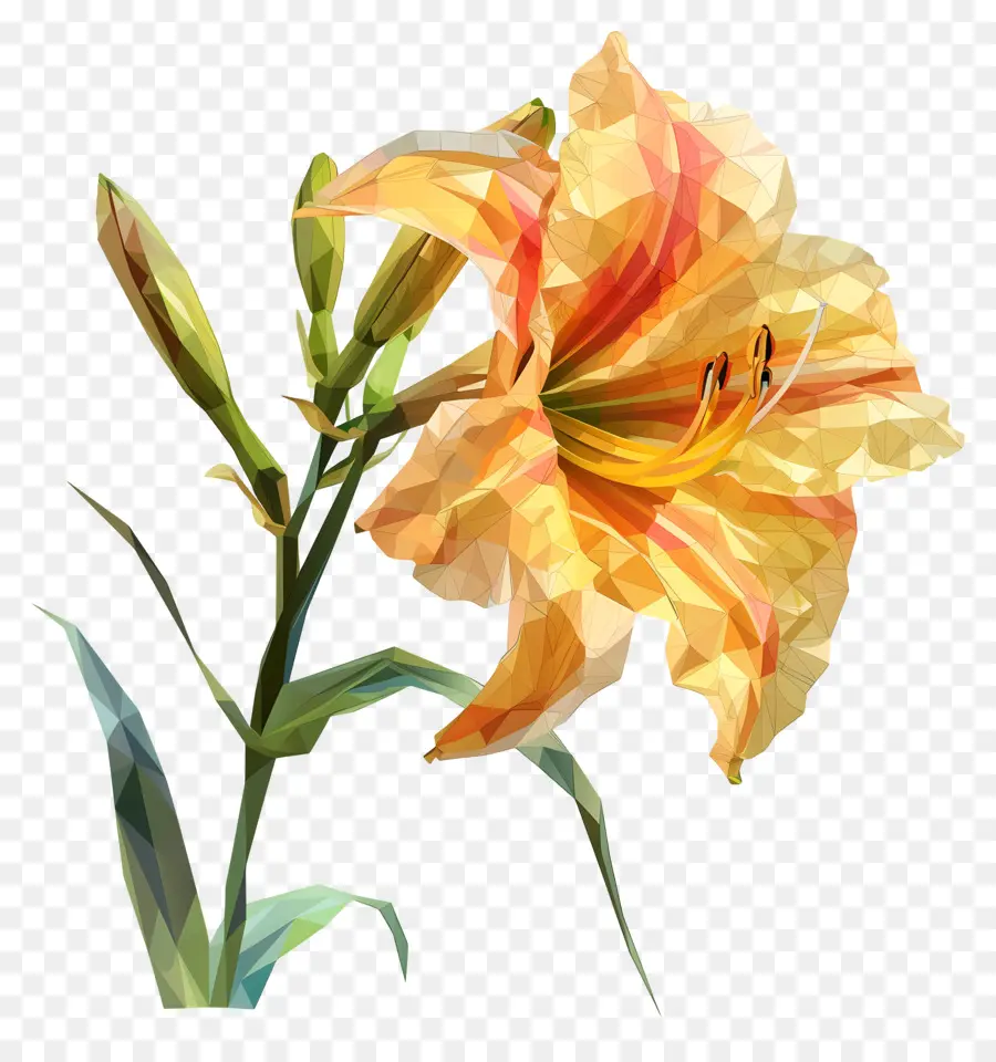 Digital Flor，Amarelo Hemerocallis PNG