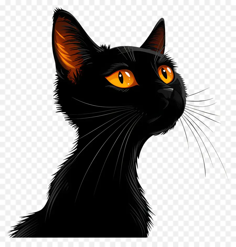 Gato Preto，Olhos Laranja PNG