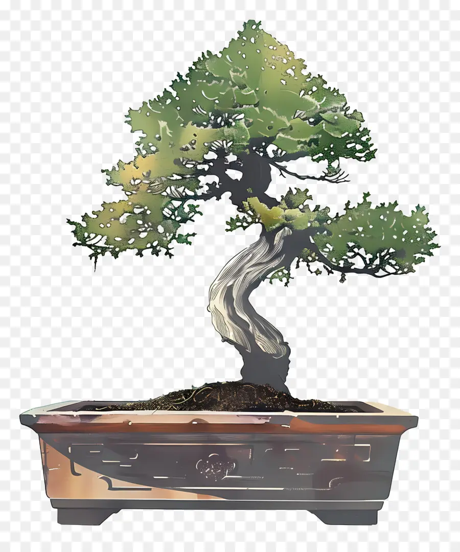 Uma árvore Bonsai，Tornando Tronco PNG