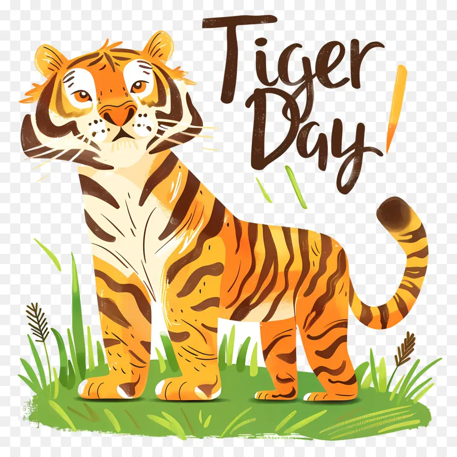 Internacional Tiger Dia，Tigre PNG