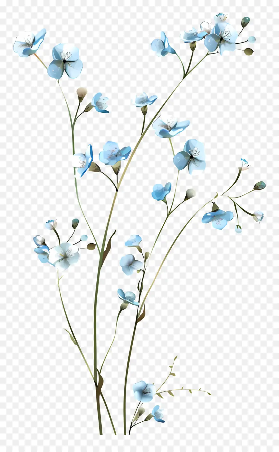 Flores Azuis，Preto E Branco PNG