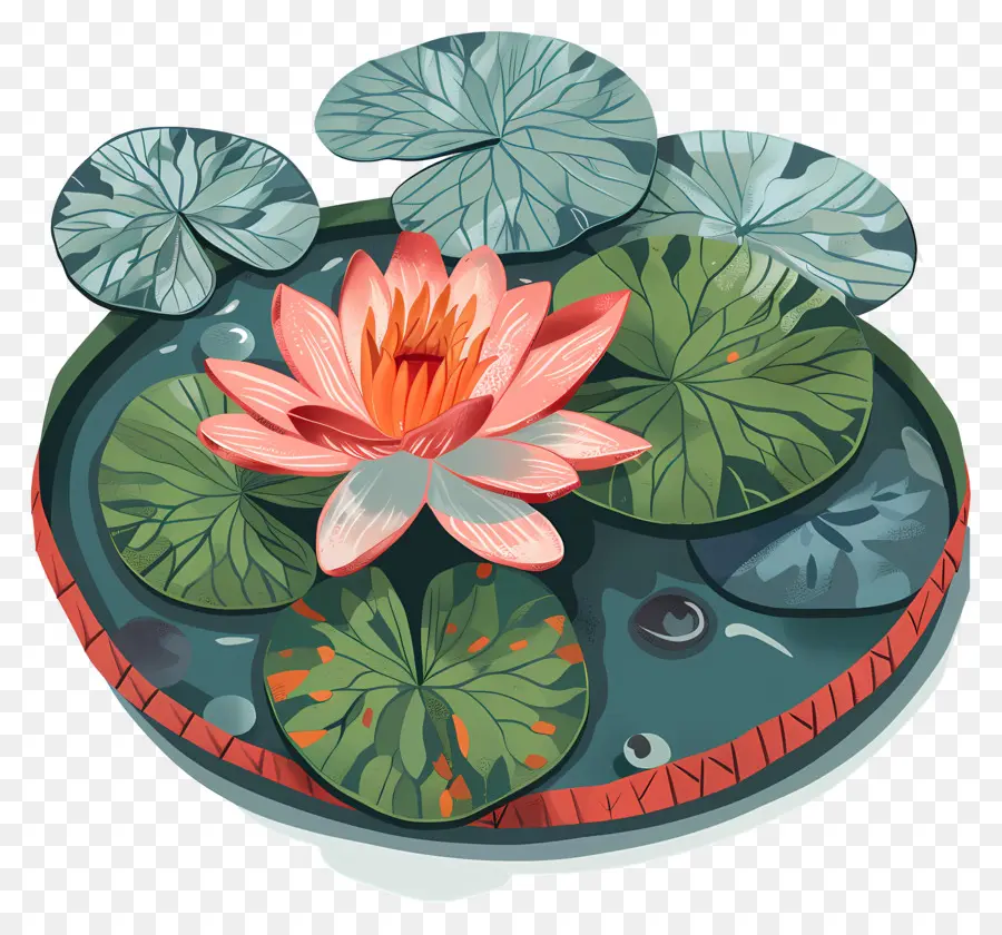 Flor De Nenúfar，Flor De Lótus PNG