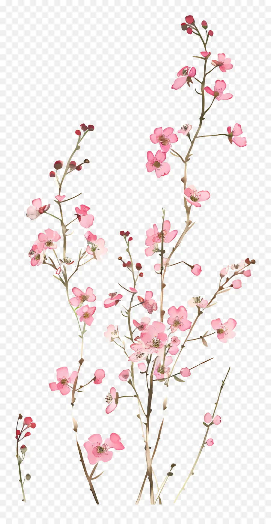 Flores Cor De Rosa，Buquê De Flores PNG