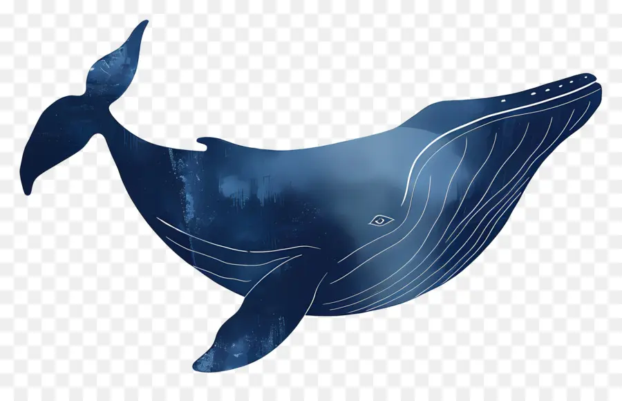 Baleia Azul，Pintura PNG