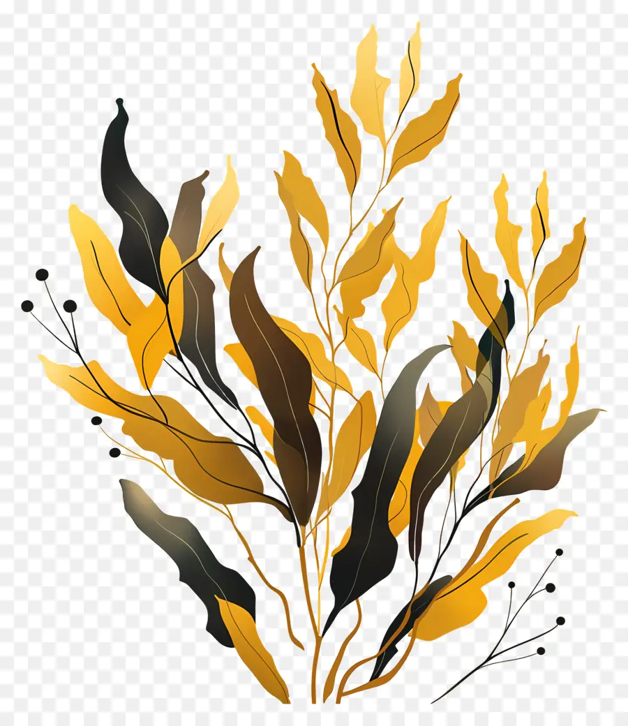 Alga Marinha De Algas，Folhas Amarelas PNG