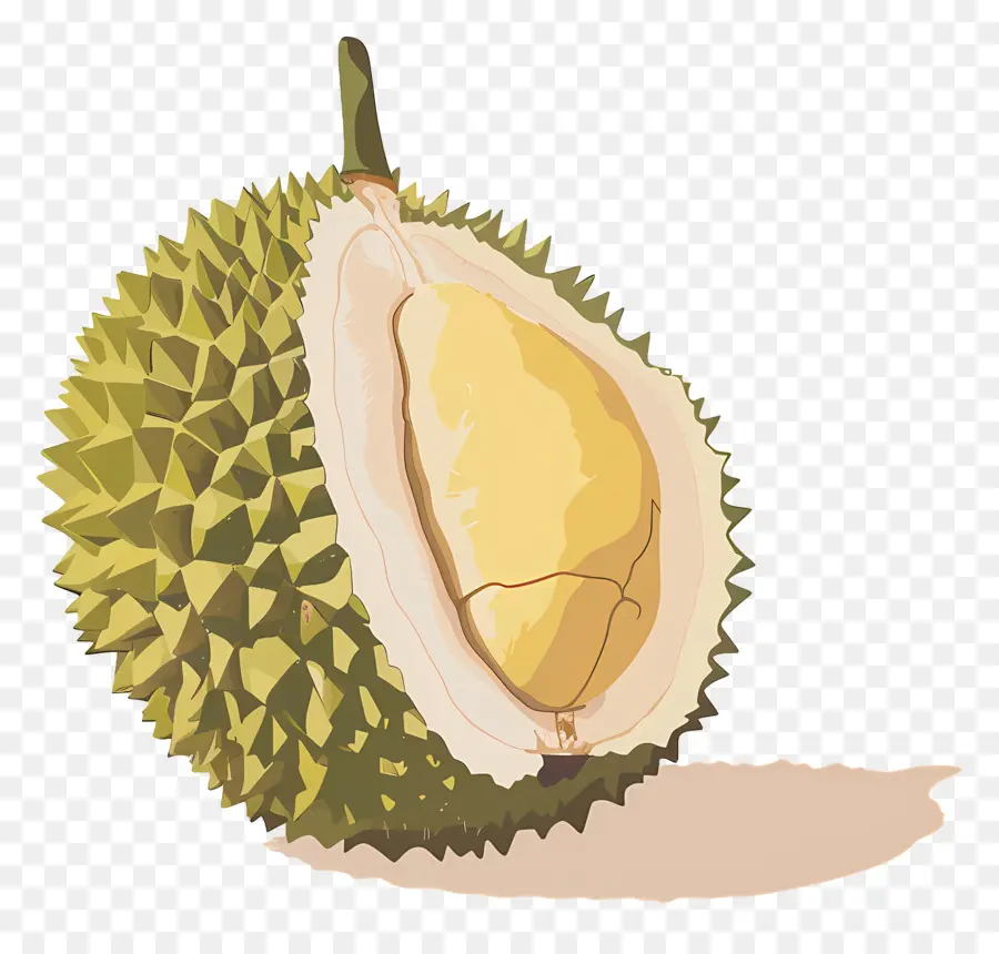 Durian，Frutas PNG