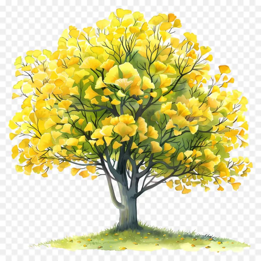 árvore De Ginkgo，Folhagem De Outono PNG